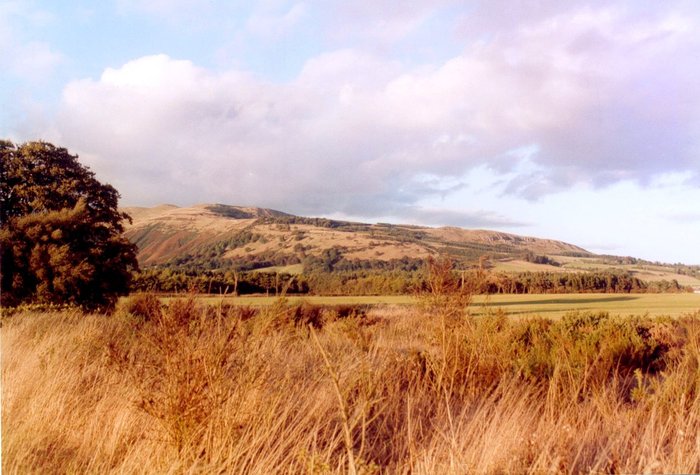 Bishop from Portmoak camp site