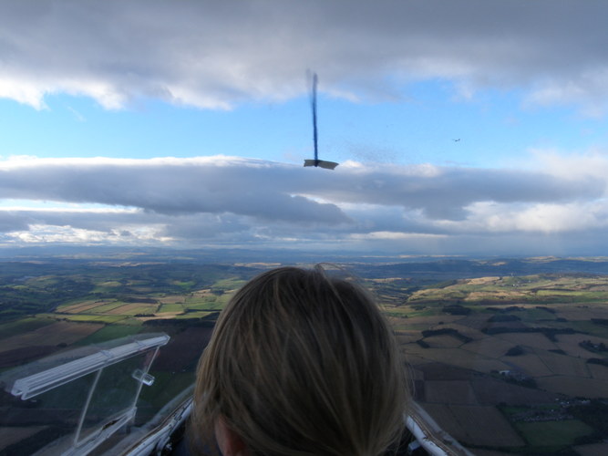 View over Polly's head