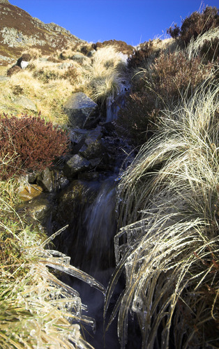 Hillside stream