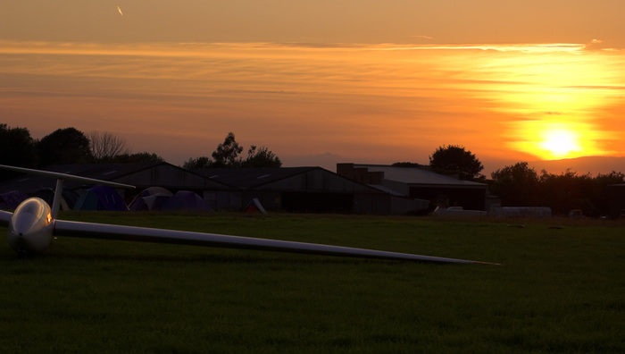 Gobble at sunset