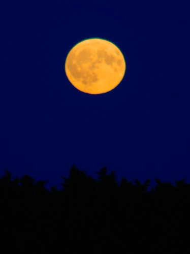 Moon over Aston Down