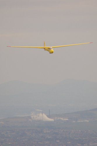 Snoopy over chemical plant