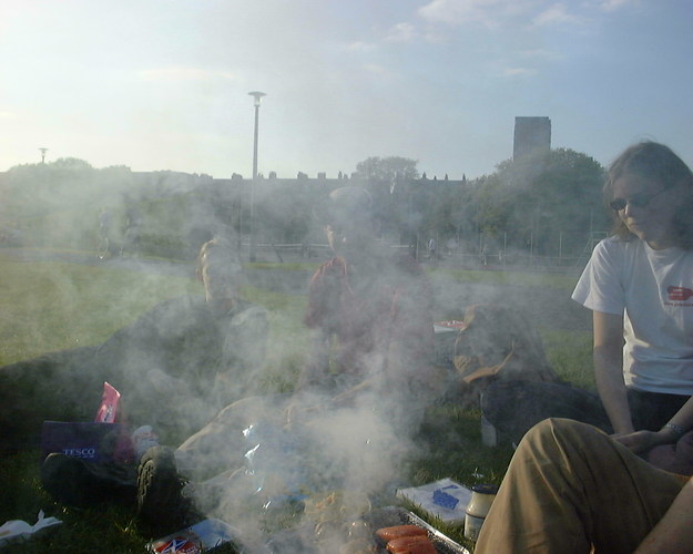 Barbecue on the meadows