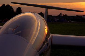 Gobble at sunset