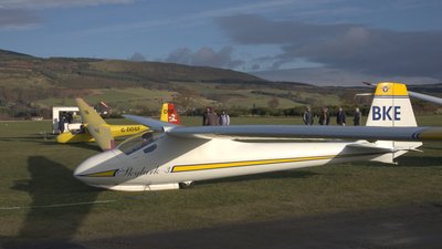 Snoopy and a Skylark