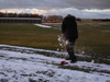 Chris Palmer being hit by a snowball