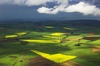 Sunlit rape field and wall of rain