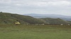 Chasing sheep at the Mynd