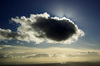 Cumulus cloud