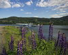 Seaplanes on Notodden lake