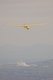 Snoopy over chemical plant