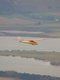 Skylark over Loch Leven