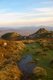 A rather picturesque bog