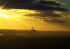 Glider at sunset