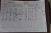 Skelling log sheet 20090616